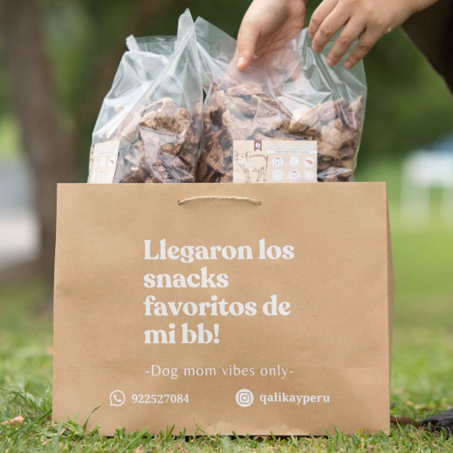 Treats a Granel 🥓🌱