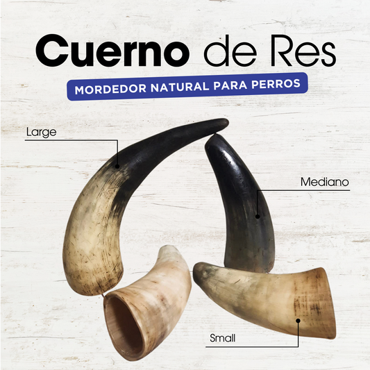 Cuerno de Res